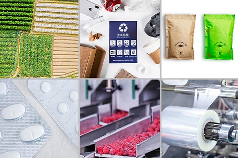 Detection Fields Grid